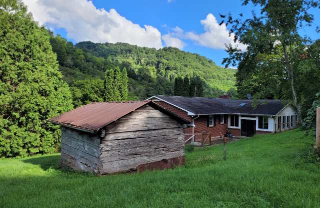 3691 Max Patch Road - 3691 Max Patch Road, Haywood County, NC 28721
