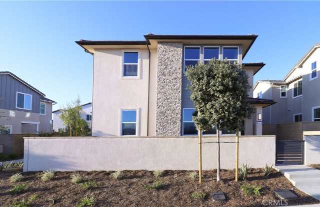 Photo of 647 Gadwall