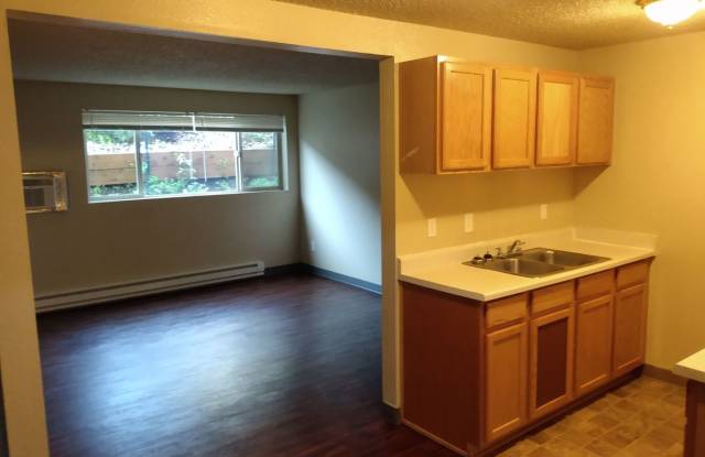 1 bedroom 1 bathroom apartment - bottom floor, downstairs - Granvue Apartments