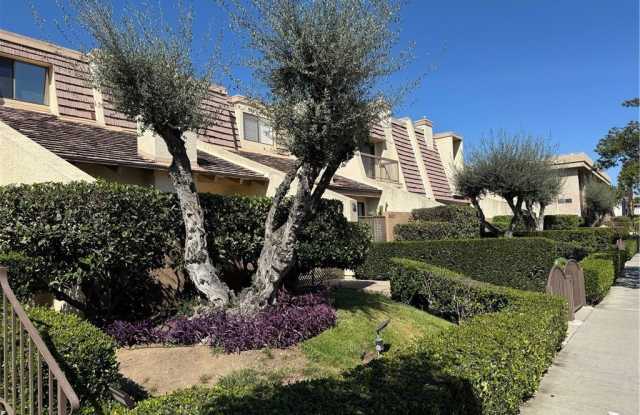 18419 Collins Street