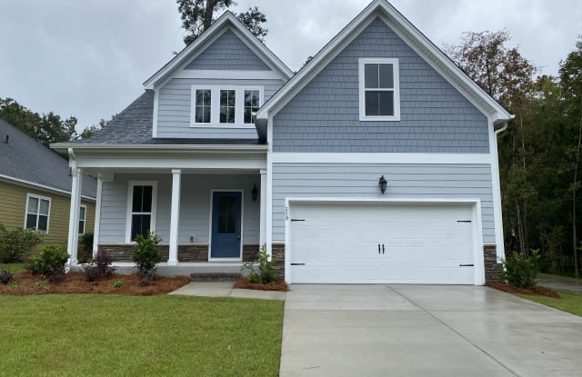 259 Carolinian Dr - 259 Carolinian Drive, Dorchester County, SC 29485