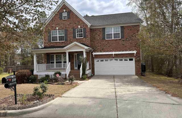 233 Mabley Place - 233 Mabley Place, Cary, NC 27519