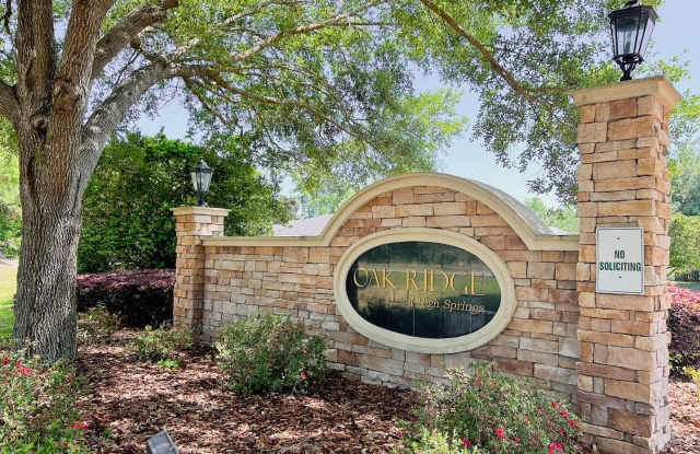 Gorgeous 5/3 New Construction in Oak Ridge at High Springs
