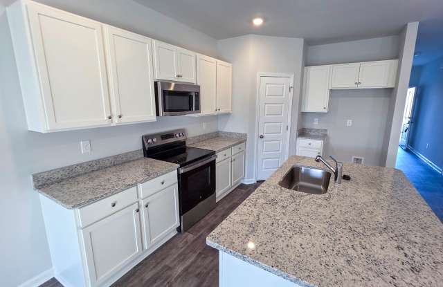 1117 Blueback Herring Way - 1