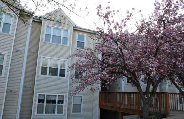 Charming 2 Bedroom/1 Bathroom Condo in Halethorpe, MD!