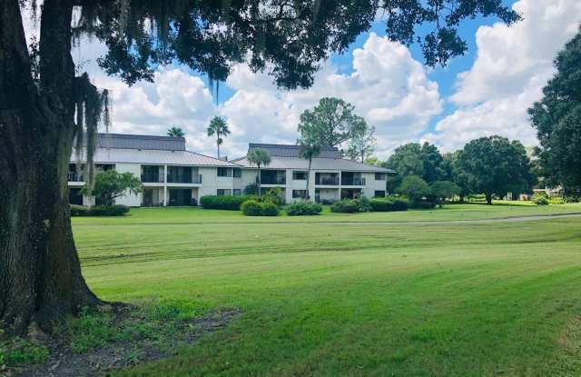 29129 BAY HOLLOW DRIVE