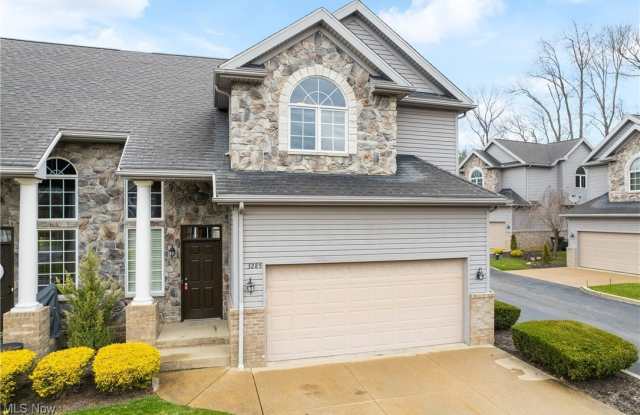 3285 Grey Village Drive