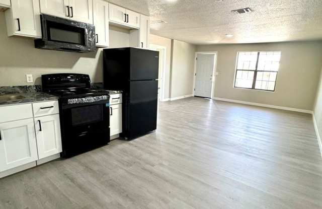 1925 Calle Coyunda Apt 3