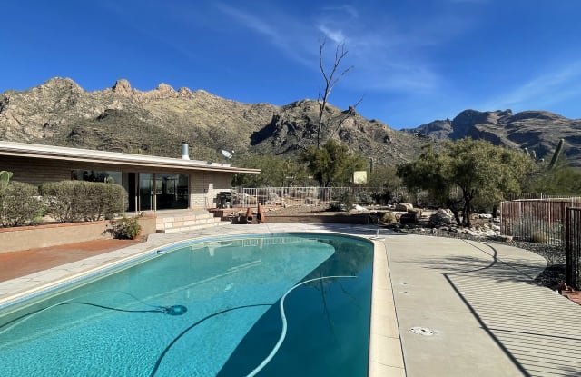 1020 E Magee Rd - 1020 East Magee Road, Catalina Foothills, AZ 85718