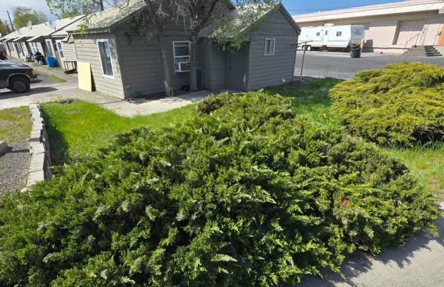 Newly Renovated 1 Bedroom Apartment Available Now!