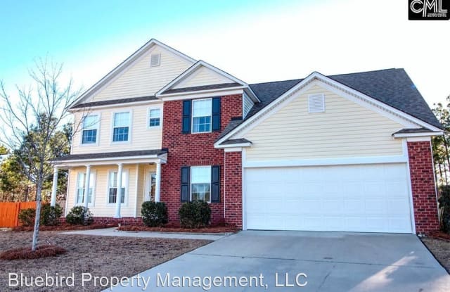 331 Indigo Spring Drive - 331 Indigo Springs Drive, Richland County, SC 29229