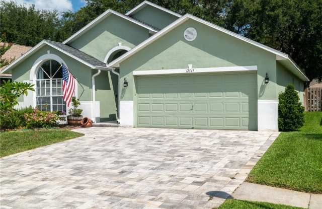 12541 BLAZING STAR DRIVE