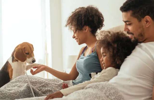 Photo of Dogwood Glen Apartments