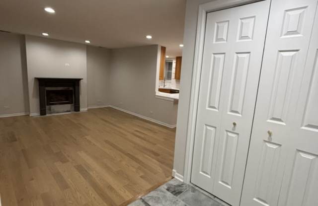 917 South Laflin Street