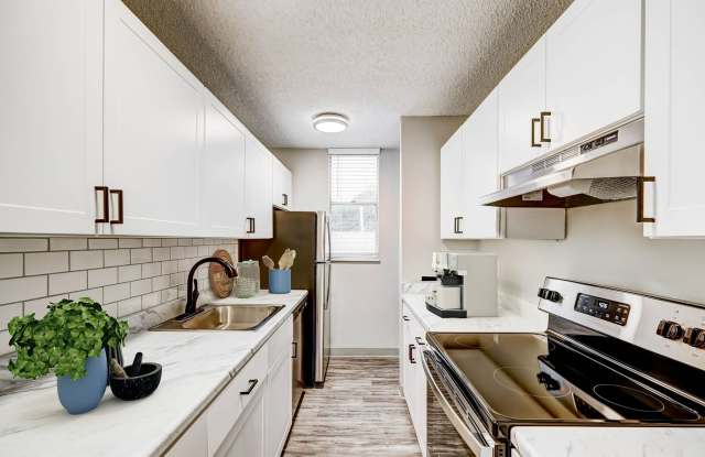 Photo of Kalo Ivywild