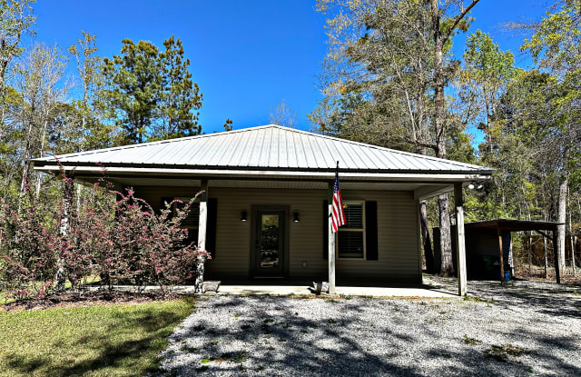 21331 Heintz Street - 21331 Heintz Street, St. Tammany County, LA 70420