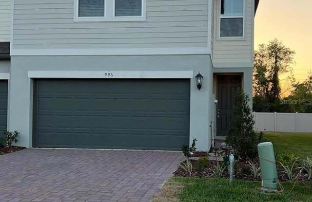 996 DESERT CANDLE DRIVE