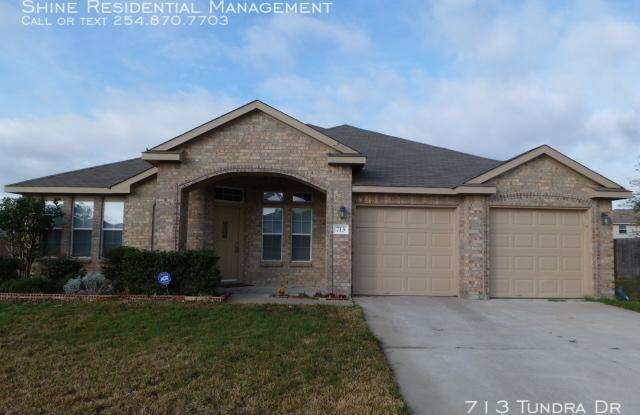 713 Tundra Dr