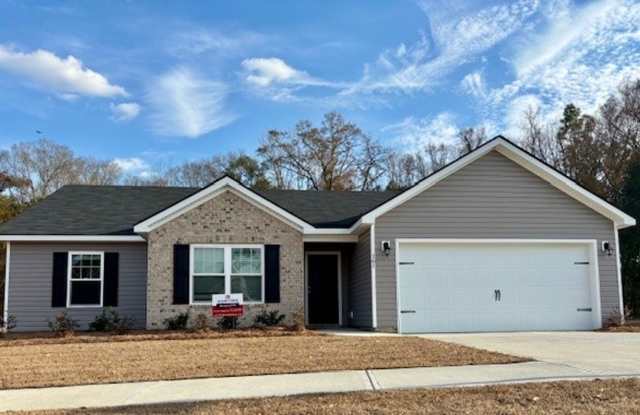 161 Braxton Blvd - Hartford Statesboro