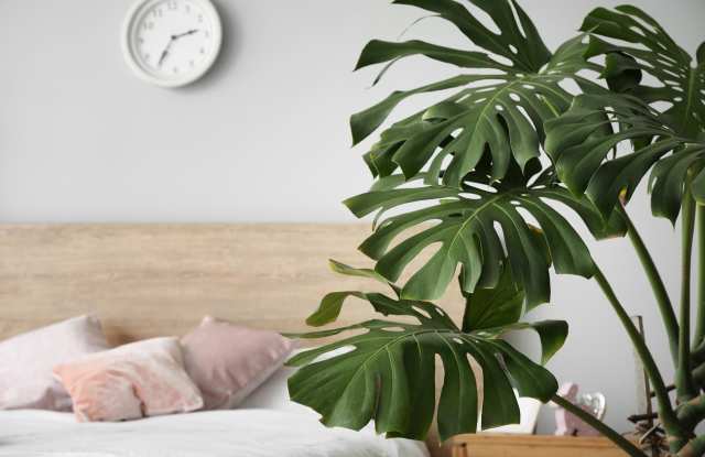 Photo of South Castle Apartments