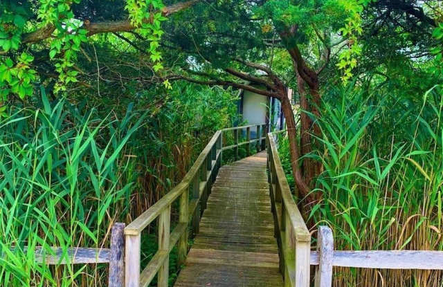 30 Gale Walk