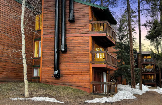 2 Bedroom, 1 Bath on Peak 8! Updated unit, ground floor, great location!  Heat included!