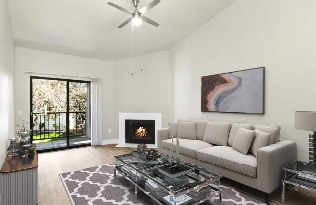 Photo of Fountain Palms