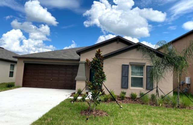 10390 Scarlet Skimmer Dr - 10390 Scarlet Skimmer Dr, Riverview, FL 33578