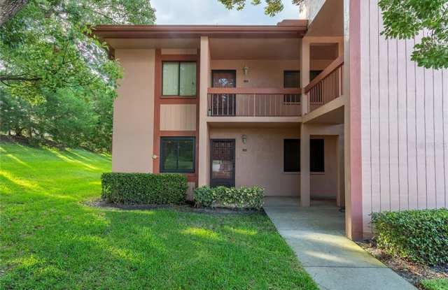 115 LAKESIDE COURT  #115 - 115 Lakeside Court, East Lake, FL 34677