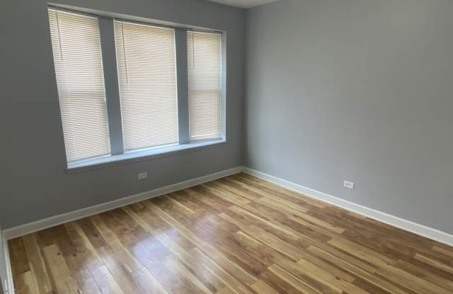 127 N Kostner Avenue - 1