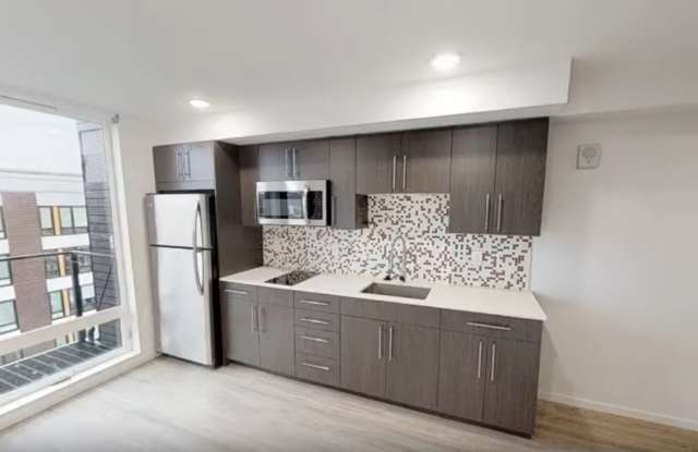 Our Newest Luxury Studios in Ballard!