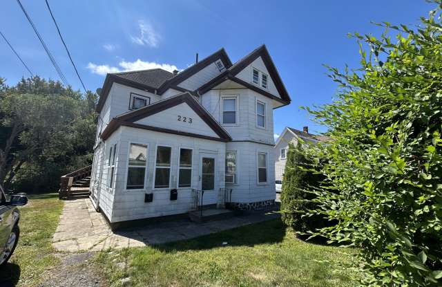 223 Lincoln Street - 2