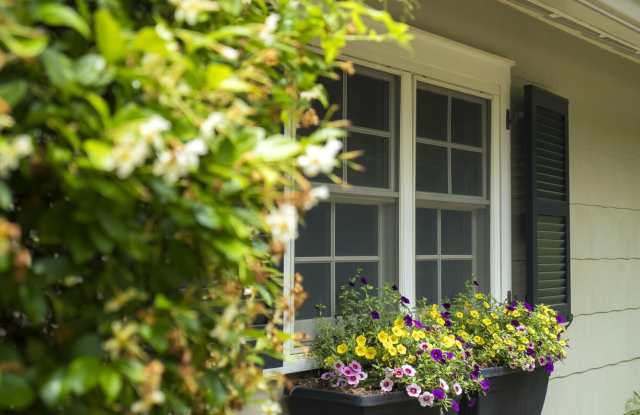 517 Marion Street SE