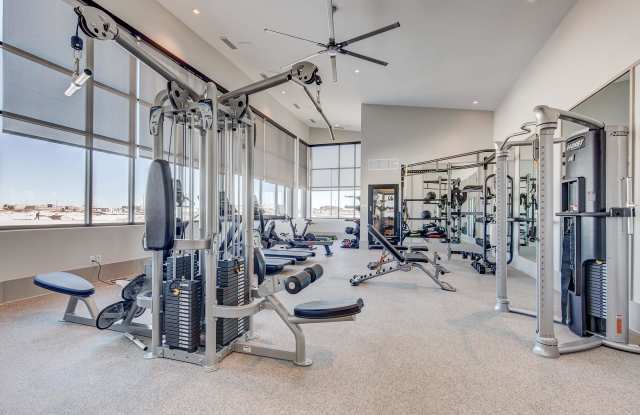 Proximo at Pena Station