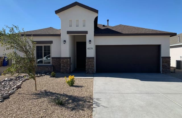 4579 Red Mountain Circle - 4579 Red Mountain Circle, Las Cruces, NM 88012