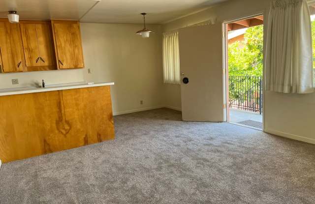 Downstairs- 1 Bedroom 1 Bath Apartment