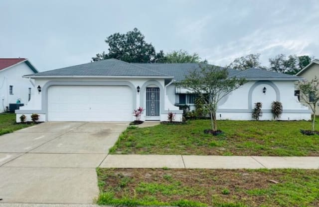 18805 Green Park Road - 18805 Green Park Road, Pasco County, FL 34667