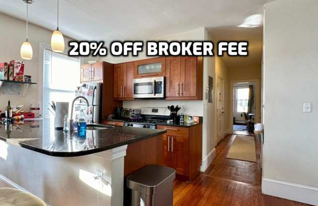 Massive Duplex with Full Luxury Renovation! Laundry in Unit! Near T, Private Deck, Outdoor Area