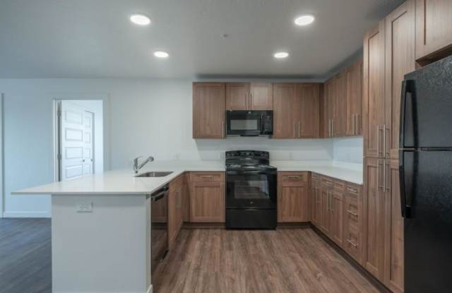 Photo of Black Feather