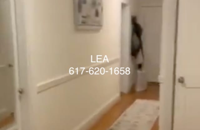 Photo of SEPT Incredible 2bed around Cleveland Circle - B/C/D line! - Cats ok!