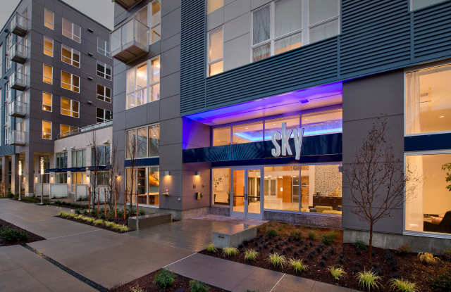 Photo of Green Leaf Sky