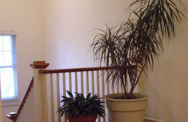 1520 COPELAND Street unit: 5