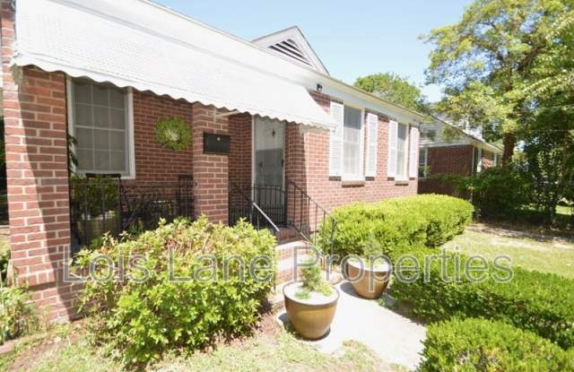 14 Sothel Avenue - 14 Sothel Avenue, Charleston, SC 29407