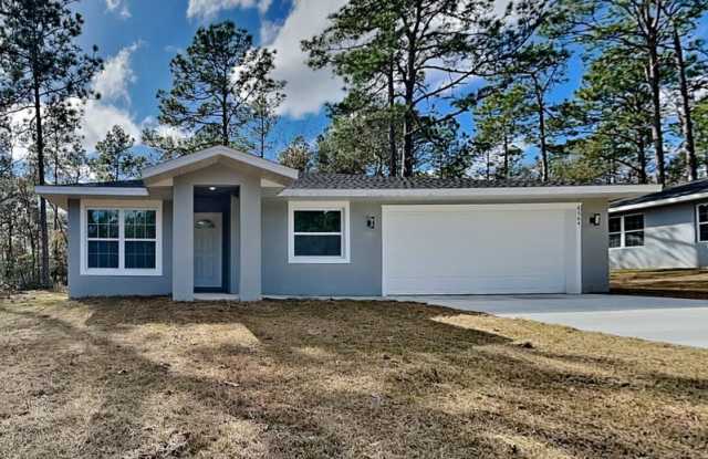 8864 N Vienna Dr - 8864 North Vienna Drive, Citrus Springs, FL 34433