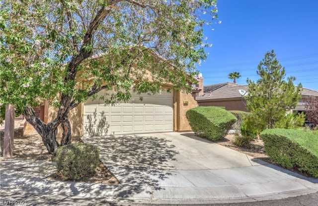 10964 Snow Cloud Court