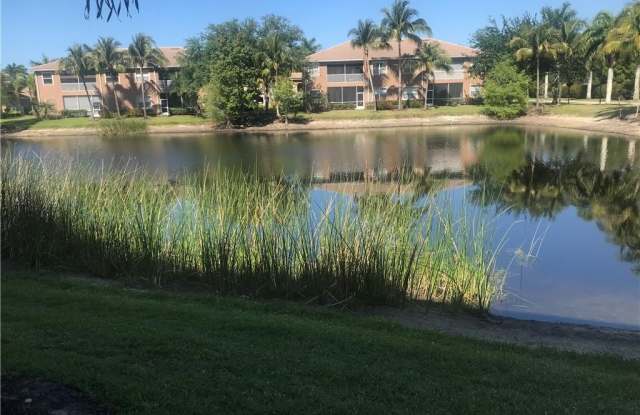 Photo of 9601 Spanish Moss