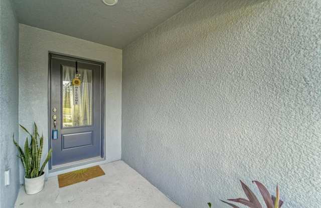 Newly built modern home in Lakeland!