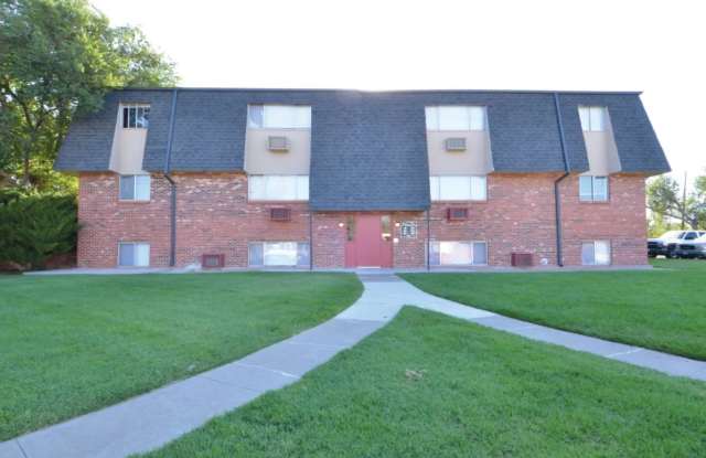 Photo of Little Armadillo