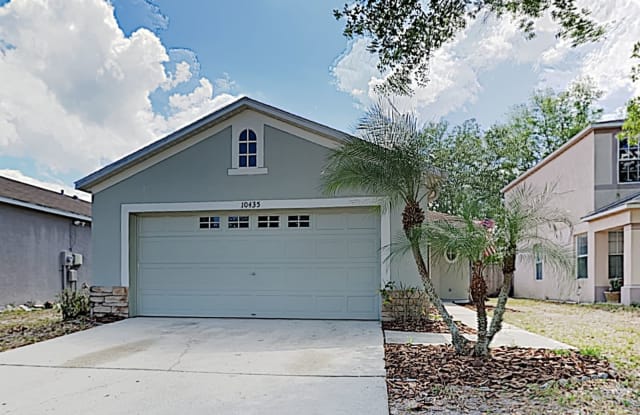 10435 Blackmore Drive - 10435 Blackmore Drive, Hillsborough County, FL 33647