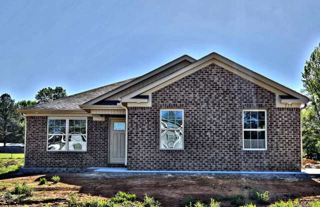 BRAND NEW HOUSE for RENT Hartselle 3BR photos photos